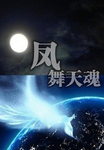 凤舞天魂