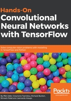 Hands-On Convolutional Neural Networks with TensorFlow在线阅读