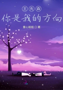 王先森，你是我的方向