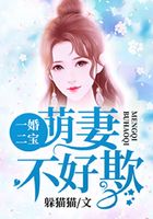 一婚二宝:萌妻不好欺在线阅读