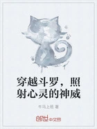 穿越斗罗,照射心灵的神威在线阅读