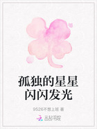 孤独的星星闪闪发光在线阅读