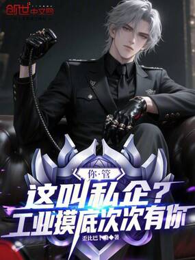 你管这叫私企？工业摸底次次有你在线阅读