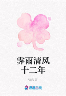 霽雨清風(fēng)十二年