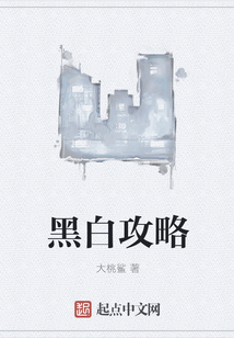 黑白攻略