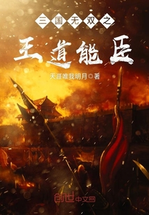 三國無雙之王道能臣