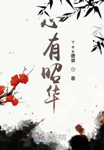 心有昭華