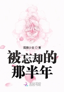 被忘卻的那半年