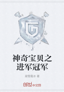 神奇寶貝之進軍冠軍