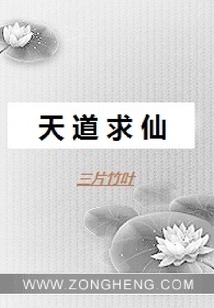 天道求仙