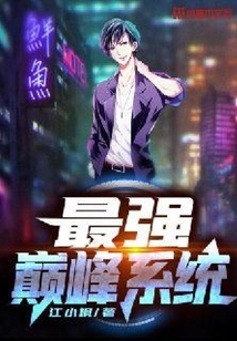 最强巅峰系统