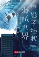 海贼世界里影子挂机