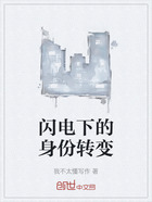 闪电下的身份转变在线阅读