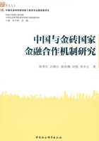 中国与金砖国家金融合作机制研究在线阅读