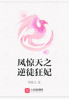 鳳驚天之逆徒狂妃在線閱讀