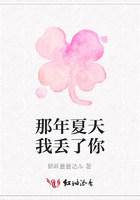 那年夏天我丟了你在線閱讀