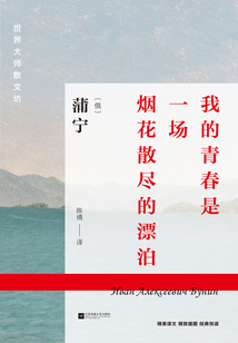 我的青春是一場(chǎng)煙花散盡的漂泊