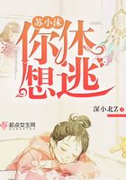 苏小沫,你休想逃!在线阅读