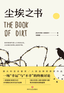 塵埃之書