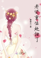 老婆重生超甜了在線閱讀