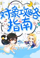 對象攻略指南在線閱讀