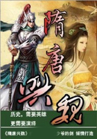 隋唐兴魏在线阅读