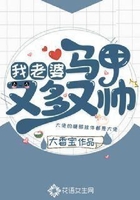我老婆马甲又多又帅