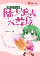萌宝1v1:陆少追妻火葬场