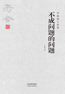 不成問題的問題：中短篇小說集