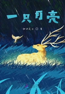 一只月亮