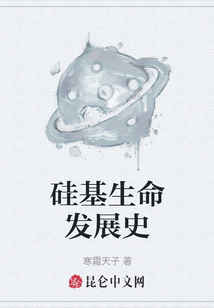 硅基生命發展史