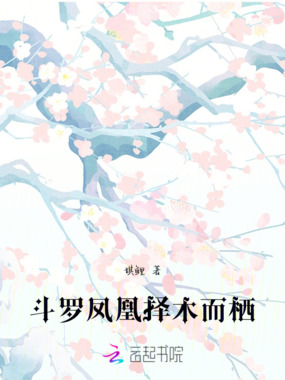 斗罗：凤凰择木而栖在线阅读