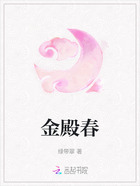 金殿春在线阅读