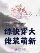 综快穿大佬装萌新在线阅读