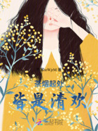 茶烟起处,皆是清欢在线阅读