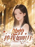 他曾捧我如明月在线阅读