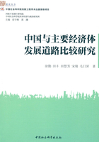 中國與主要經濟體發展道路比較研究在線閱讀