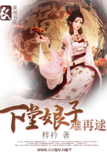 下堂娘子难在逑