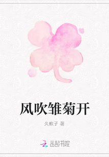 风吹雏菊开