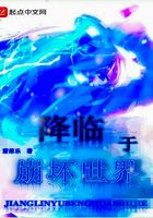 崩壞之圣輝降臨在線閱讀