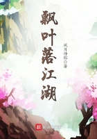 飄葉落江湖在線閱讀