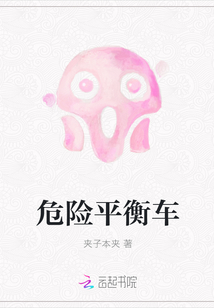 危險平衡車