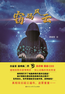 窃码风云