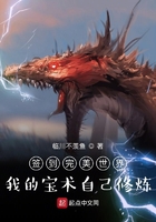 签到完美世界:我的宝术自己修炼