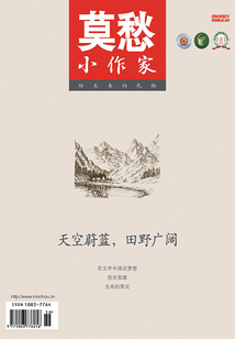 莫愁·小作家（2021年第9期）