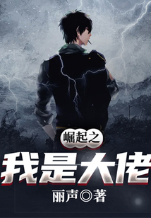 崛起之我是大佬