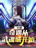 斗罗：奇遇从武魂城开始在线阅读