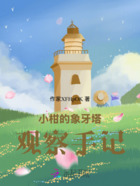 小柑的象牙塔观察手记在线阅读