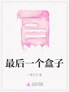 最后一个盒子在线阅读