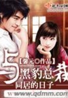 与黑豹总裁同居的日子
